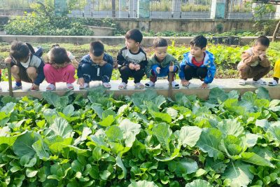 Hoạt động tham quan vườn rau của các bé lớp 4TC- BH