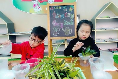 Hoạt động trải nghiệm “Trồng cây thủy sinh” – lớp 5TA- BH